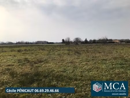 vente terrain 775 m² clermont (40180)