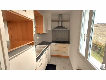 appartement nuits saint georges