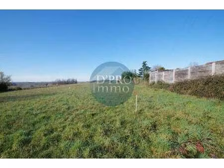 vente terrain à saint-fiacre-sur-maine (44690) : à vendre / 763m² saint-fiacre-sur-maine