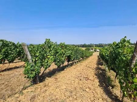 vente terrain à saussignac (24240) : à vendre / 20497m² saussignac