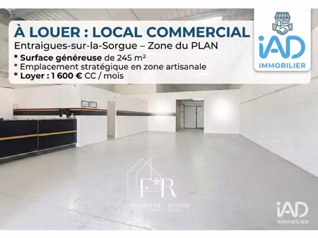 location bureaux et commerces à entraigues-sur-la-sorgue (84320) : à louer / 245m² entraig