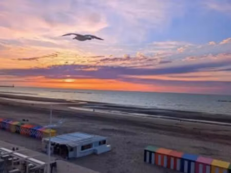 vente maison 6 pièces 160 m² à dunkerque (59140)  549 000 €