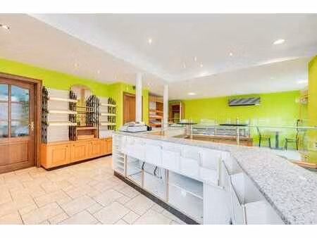 spacieuse maison de commerce avec terrasse et jardin