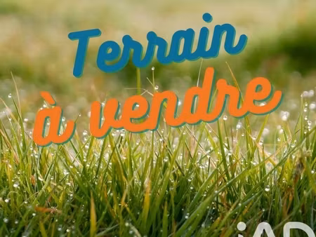 vente terrain 2 000 m²