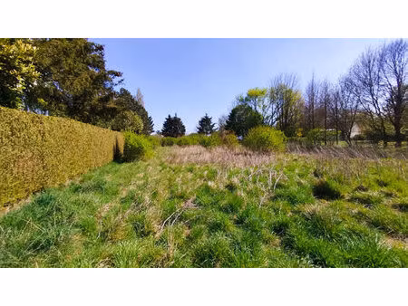 terrain constructible de 2 386 m² à revelles (80540)