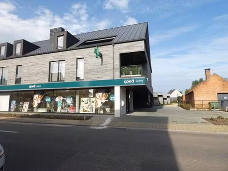 appartement à louer à lichtaart € 800 (llosb) - heylen vastgoed - turnhout | zimmo