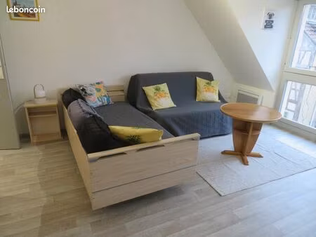 studio meublé 35m2 hyper centre mulhouse cour des maréchaux