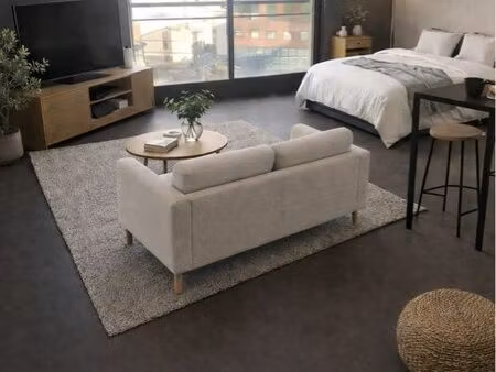 centre ville toulouse