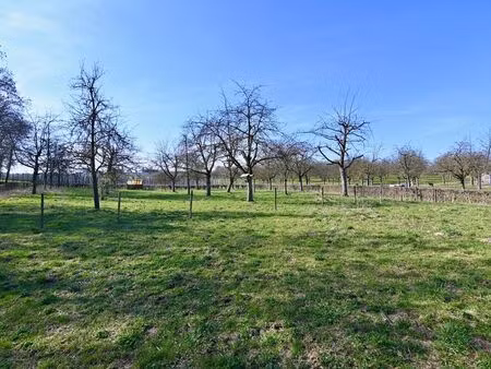 terrain à vendre à sint-truiden € 24.500 (llo1e) - duo vastgoed | zimmo