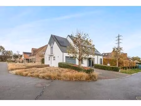 maison moderne 4 façades à temse