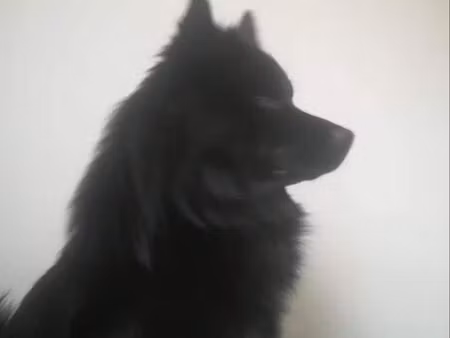 bonjour on recherche une maison avec un terrain et garage on habite dans la gironde