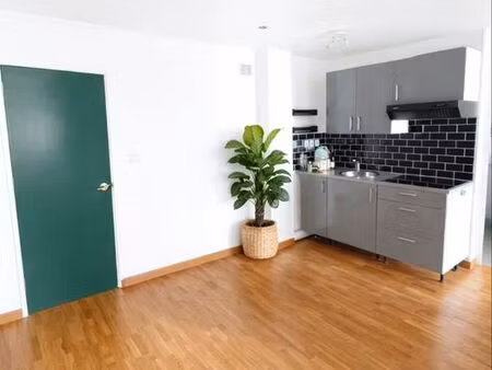 grand 2 pièces lumineux et rénové