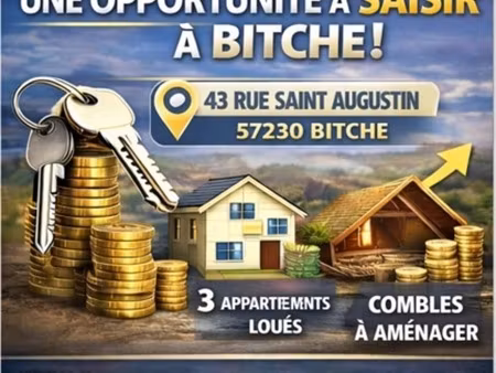 immeuble à vendre bitche (57)