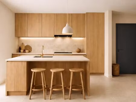 maison 50 m² saignon