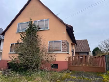 maison avec dépendances et grand terrain