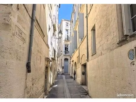 studio 1 pièce 17 m²