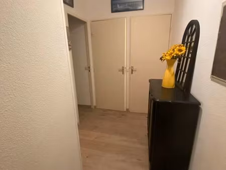 à louer appartement t2