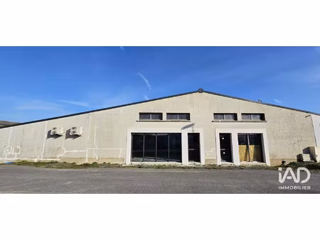 vente commerce 1060 m² les épesses (85590)