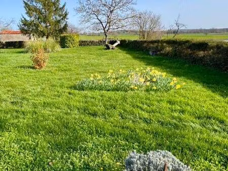 vente terrain à saint-seurin-de-palenne (17800) : à vendre / 581m² saint-seurin-de-palenne