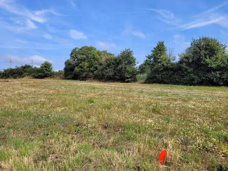 vente terrain à trélévern (22660) : à vendre / trélévern