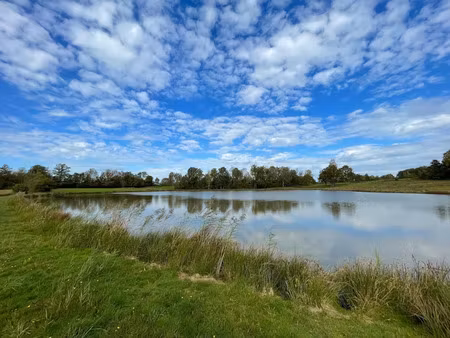 vente terrain 30600 m² à magnivray (70300)  80 000 €