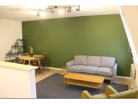 appartement meublé 65m2 - 2 chambres - hyper centre