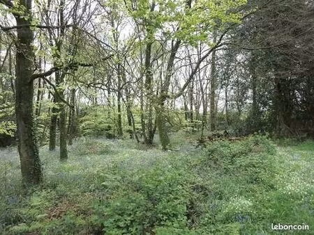 recherche petit bois pour loisirs