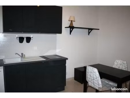 joli studio rénové  20m2  c.v rés calme