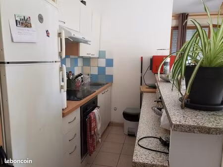 appartement à louer à castelnau d'auzan labarrère