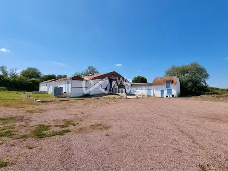 vente locaux professionnels 395 m² à richelieu (37120)  170 000 €