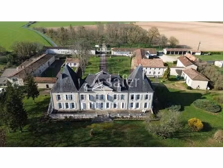 domaine avec château sur environ 4.5 ha