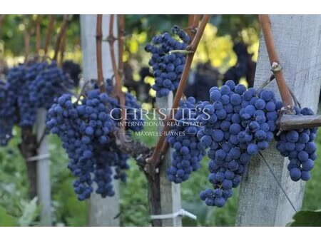 vineyard estate with historic charm - entre-deux-mers with id 3586796030