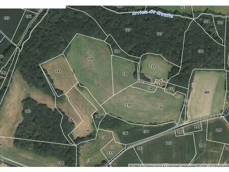 propriété 20ha  vue sur les pyrénées  a réhabiliter  à 45m