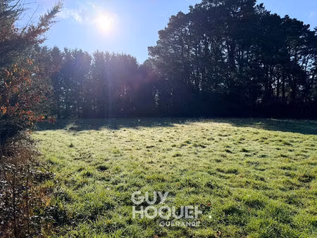 terrain saint lyphard 800 m2