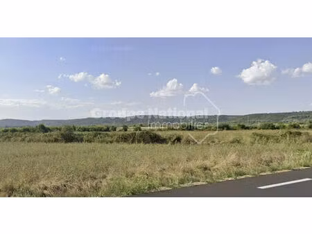 langlade terrain agricole de 17252m2 avec puit