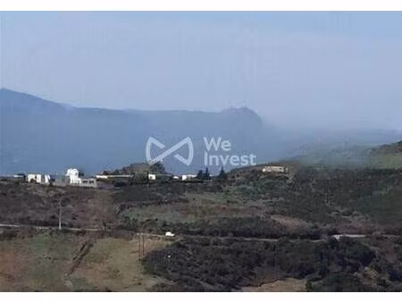 we invest anne-marie calendini