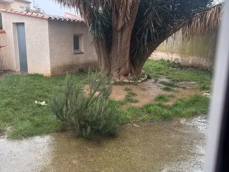 recherche terrain 5000 m² minimum avec logement à louer – secteur baho (66)