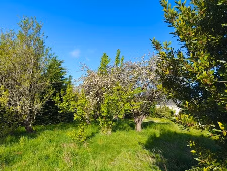 en vente terrain constructible 9 42 ares – 291 200 € |la baule-escoublac