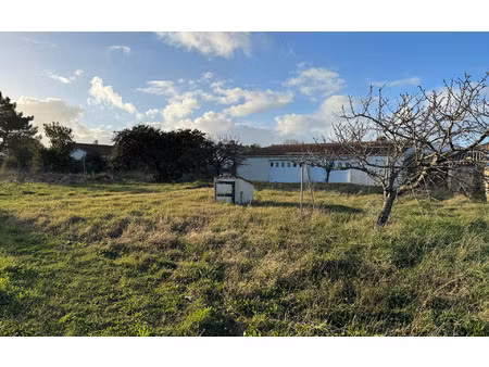 terrain saint-pierre-d'oléron m² t- à vendre  181 900 €