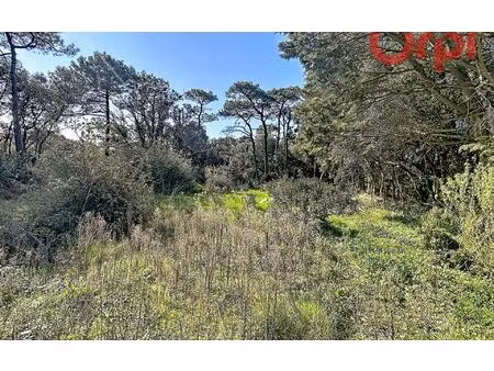 terrain talmont-saint-hilaire m² t- à vendre  682 500 €