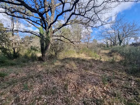 vente terrain 9951 m2 à le luc