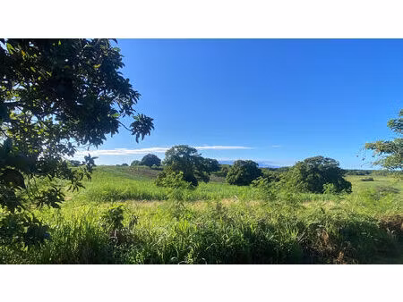 maison familiale en bois avec vue dégagée sur la campagne