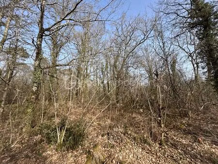 terrain de 7 574 m² à la clotte