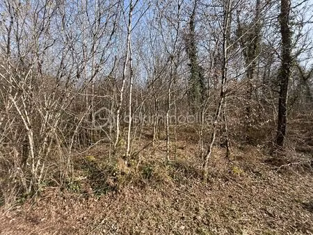 terrain de 3 450 m² à la clotte