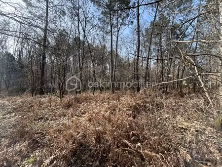 terrain de 6 955 m² à la clotte