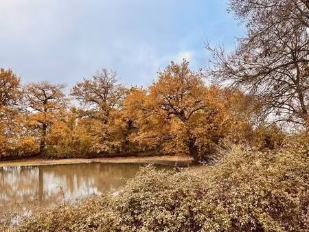 maison de plain-pied à vendre