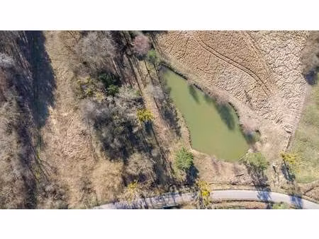 safti muller carole conseiller indépendant