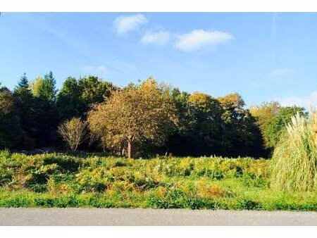 terrain constructible à vendre