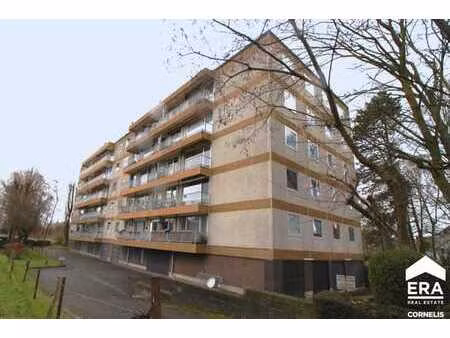 berchem-sainte-agathe - garage