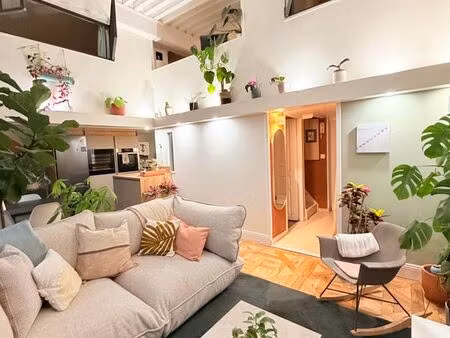 appartement avec vue gros caillou croix rousse